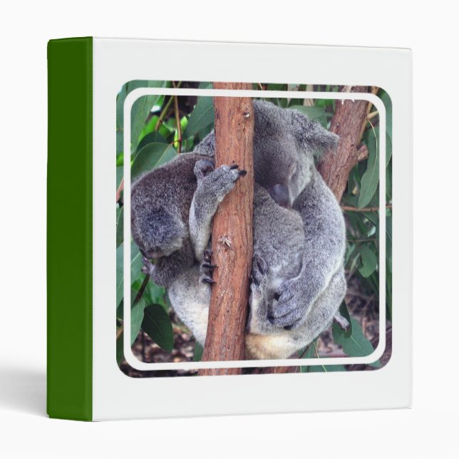 Koala Bear Family Binder (Front/Spine)