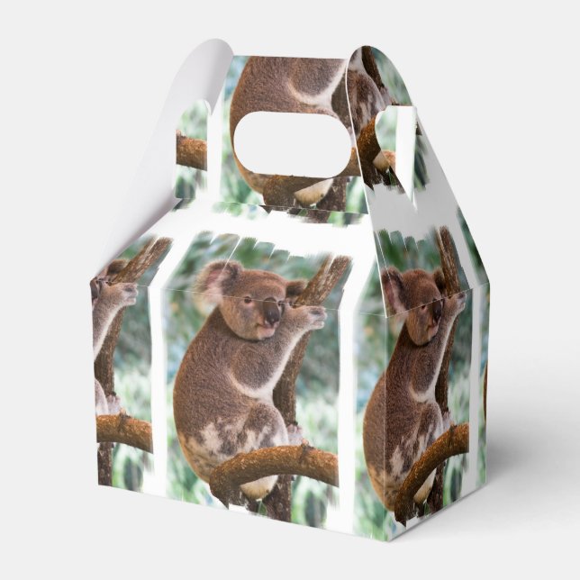 Koala Bear Favor Boxes (Front Side)