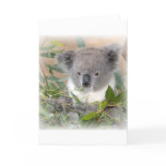 Koala Bear Greeting Card