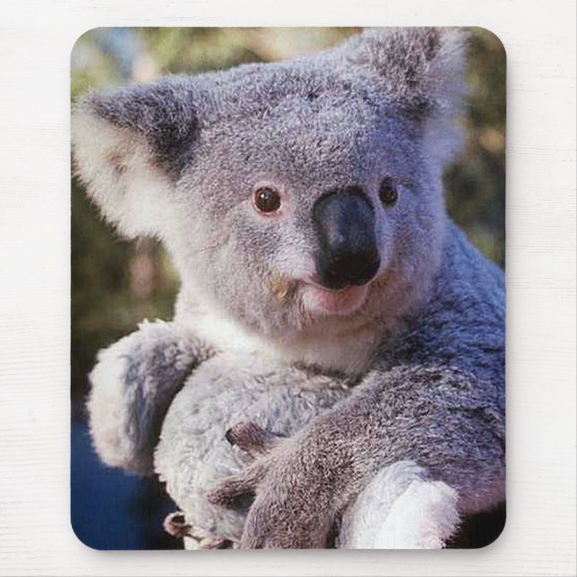 Koala Bear Holding A Koala Bear Mouse Pad (Front)