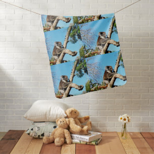 Koala Bear In Old Pine Tree, Baby Blanket