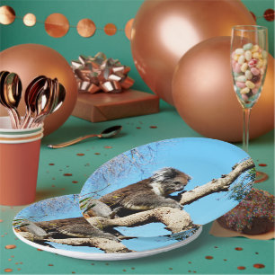 Koala Bear In Old Pine Tree,  Paper Plates