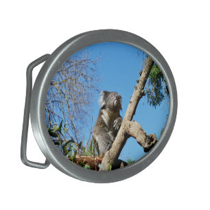 Koala Bear In Old Tree, Belt Buckle