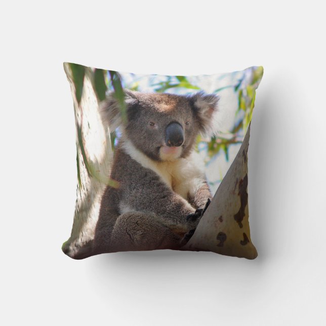 Koala Bear in Tree Decorative Animal Throw Pillow (Front)
