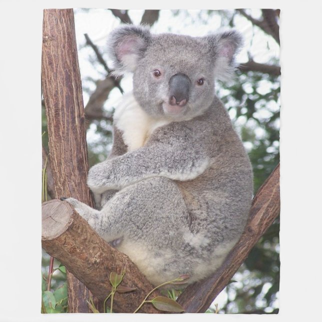 Koala Bear in Tree Fleece Blanket (Front)