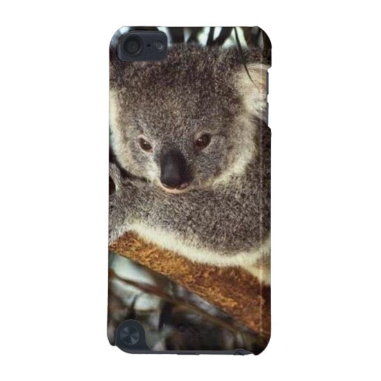 Koala Bear iPod Touch (5th Generation) Case