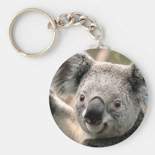 Koala Bear Key Chains | Zazzle