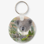 Koala Bear Keychain