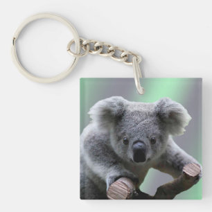 Koala Bear Keychain