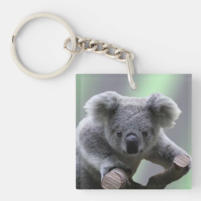 Koala Bear Keychain