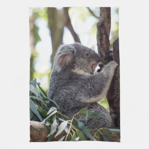 Koala Bear Kitchen Towel