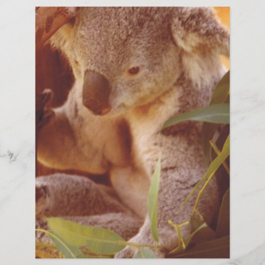 Koala Bear Love (Front)