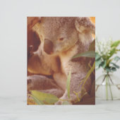 Koala Bear Love (Standing Front)