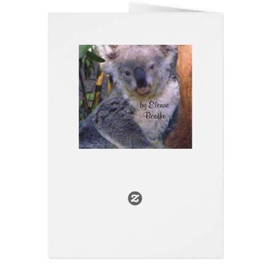 Koala Bear Love_ (Back)