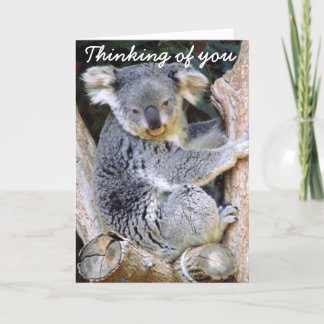 Koala Bear Love_ Card