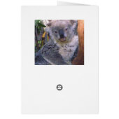 Koala Bear Love_ Cards (Back)