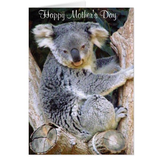 Koala Bear Love_ Cards (Front)