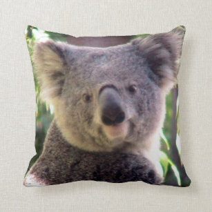 koala bear pillow