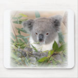 Koala Bear Mouse Pad