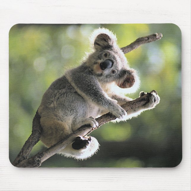 Koala Bear Mouse Pad (Front)