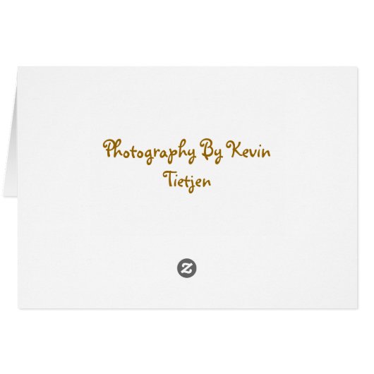 Koala Bear Notecard (Back Horizontal)