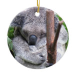 Koala Bear Ornament