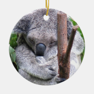 Koala Bear Ornament