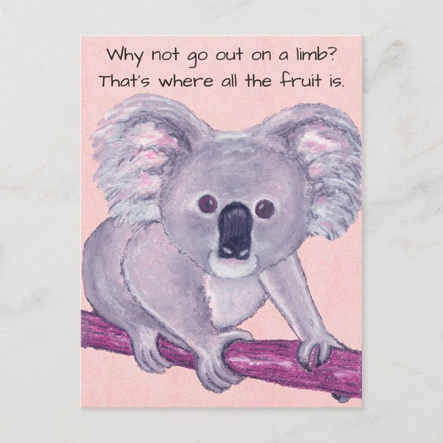 Koala Bear~Out on a Limb Postcard (Front)