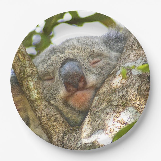Koala Bear Paper Plate (Front)