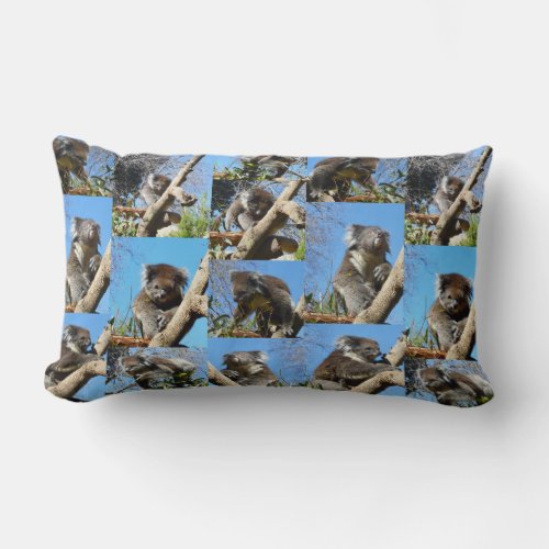 Koala Bear Photo Collage Lumbar Pillow