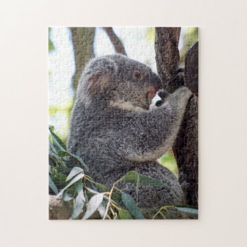 Koala Bear Puzzle