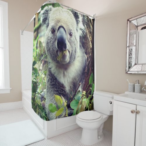 Koala Bear Shower Curtain