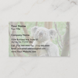 Koala Bear Sitting On The Tree At Perth Zoo Business Card