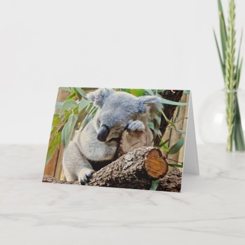 Koala Bear Sleeping Get Well Card