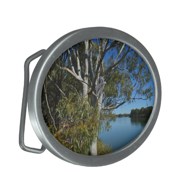 Koala Bear Sleeping In Gum Tree, Belt Buckle (Front Left)