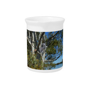 Koala Bear Sleeping In Gum Tree, Beverage Pitcher