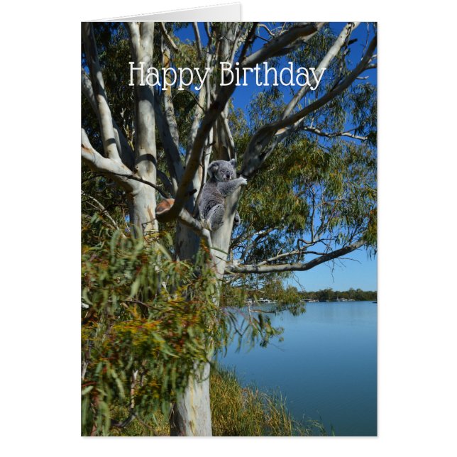 Koala Bear Sleeping In Gum Tree, Birthday (Front)