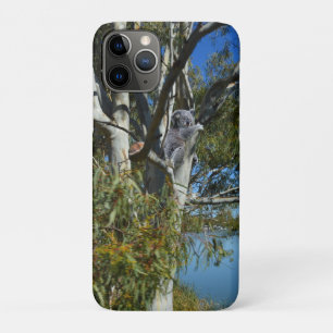 Koala Bear Sleeping In Gum Tree, iPhone 11 Pro Case
