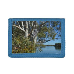 Koala Bear Sleeping In Gum Tree, Trifold Wallet