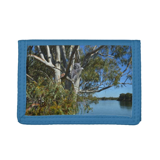 Koala Bear Sleeping In Gum Tree, Trifold Wallet (Front)