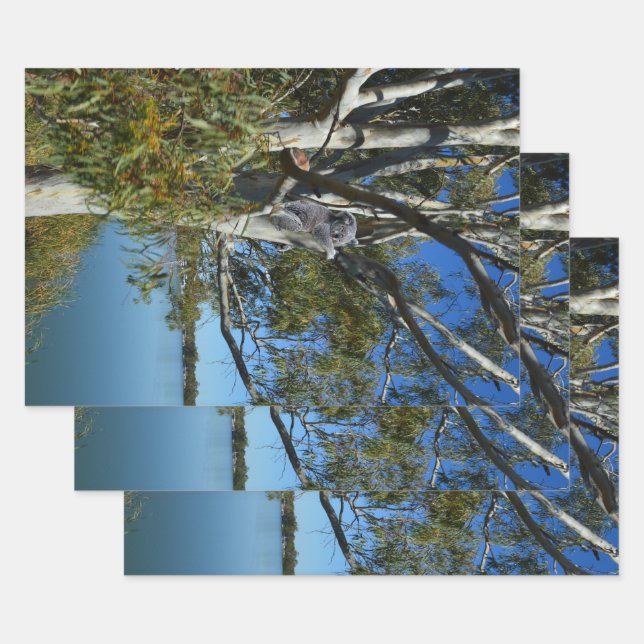 Koala Bear Sleeping In Gum Tree, Wrapping Paper Sheets (Set)