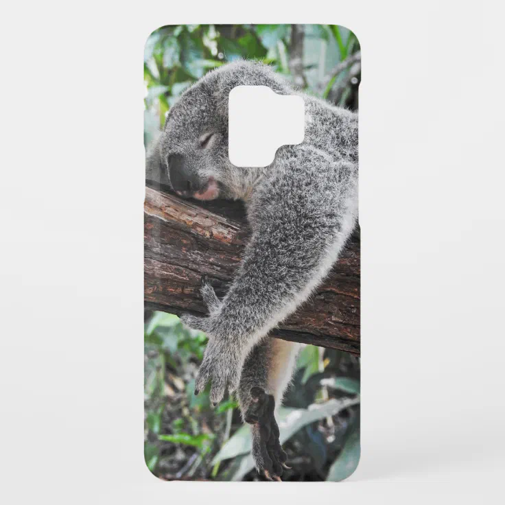 koala sleeping in tree