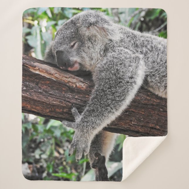 KOALA BEAR SLEEPING ON TREE SHERPA BLANKET (Front)