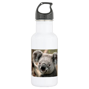Koala Bear Stainless Steel Water Bottle
