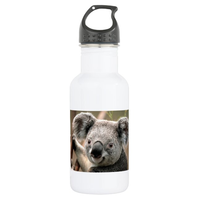 Koala Bear Stainless Steel Water Bottle (Front)