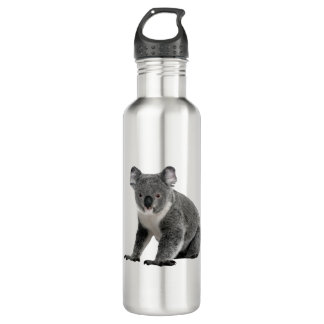 Koala Bear Stainless Steel Water Bottle