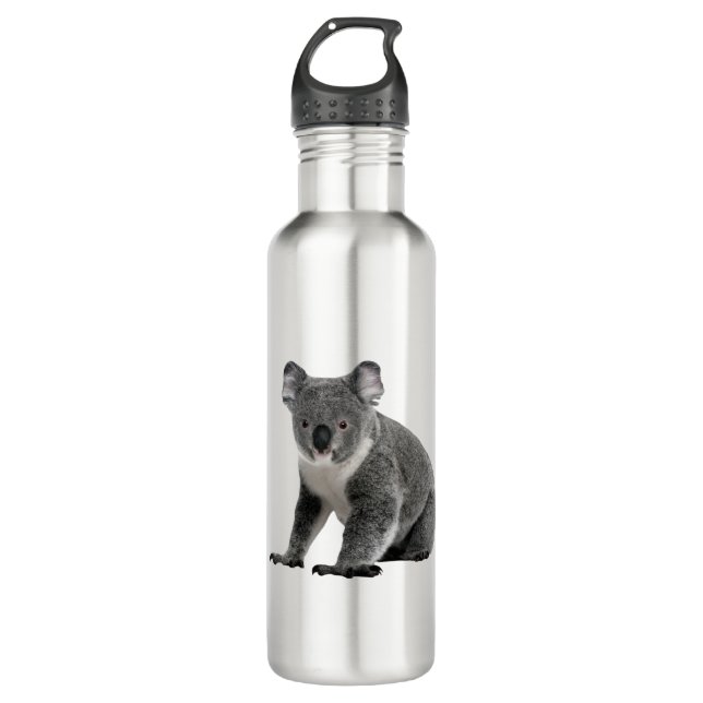 Koala Bear Stainless Steel Water Bottle (Front)