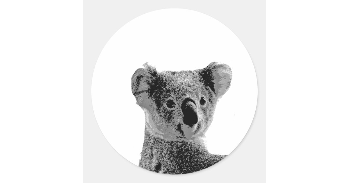 Koala Bear Stickers Zazzle