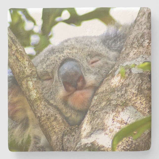 Koala Bear Stone Coaster (Front)