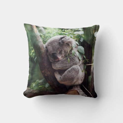 Koala Bear Throw Pillow